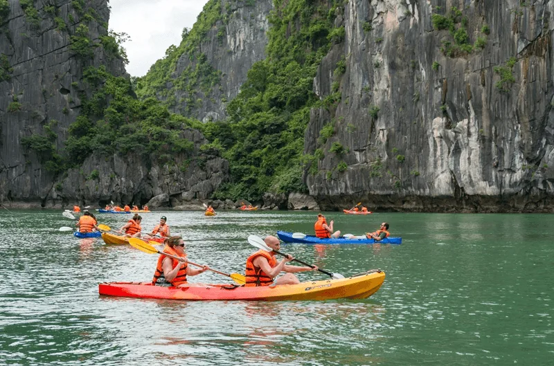 Tư thế ngồi chuẩn xác và kỹ thuật vung mái chèo đúng cách cho người mới.
